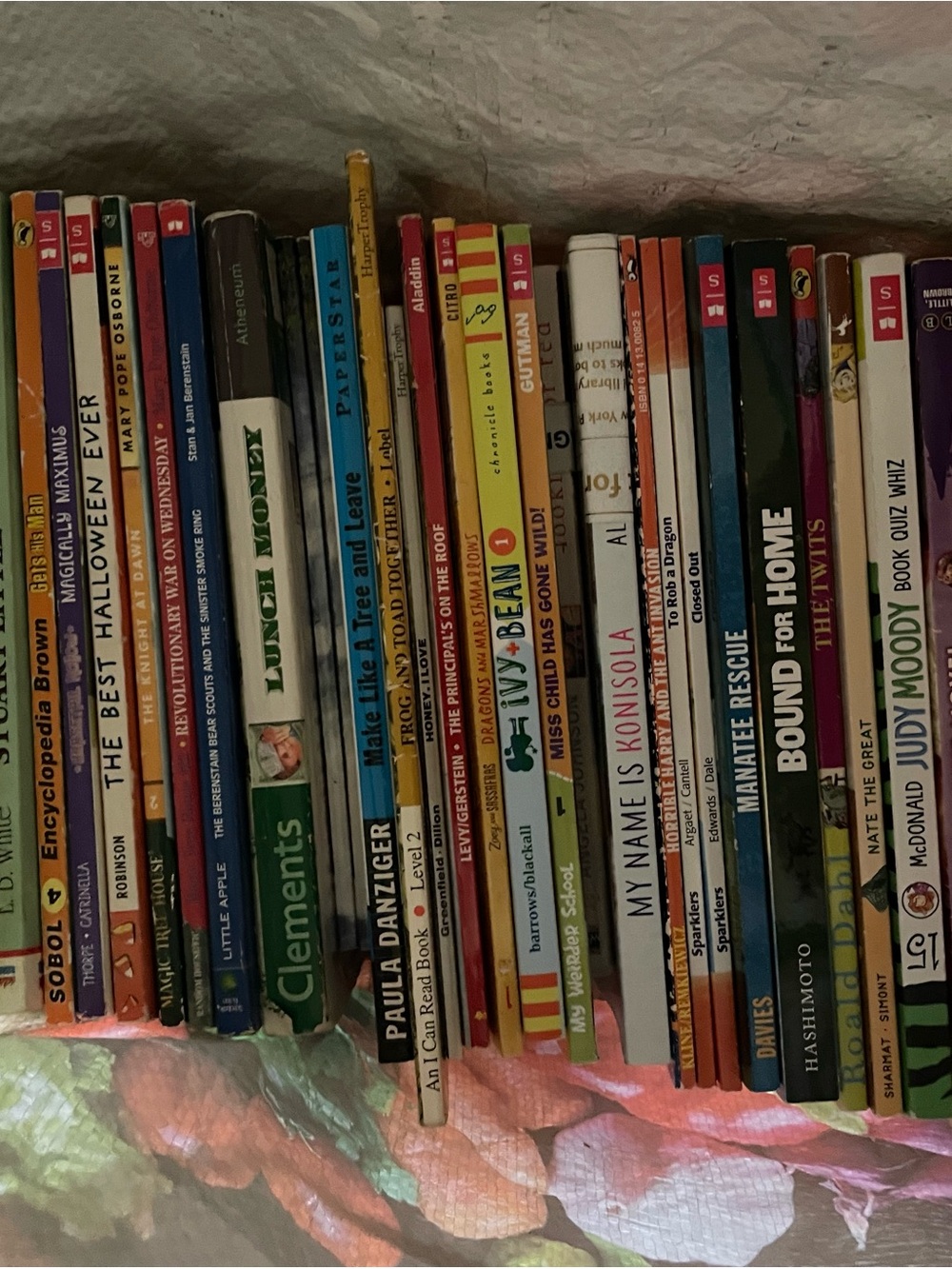 Children's Picture Book Collection - Multicolor